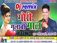 Gori gulabi gal Dj remix