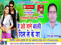 Ye O Jane Wali Dil LE Ke Ja