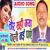 Tor Sahi Maya Wali Nai Paye